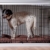 dobar 35242 Großer Hundekäfig aus Holz mit Tischoberfläche für innen, Hundebox Indoor, L, weiß - 9
